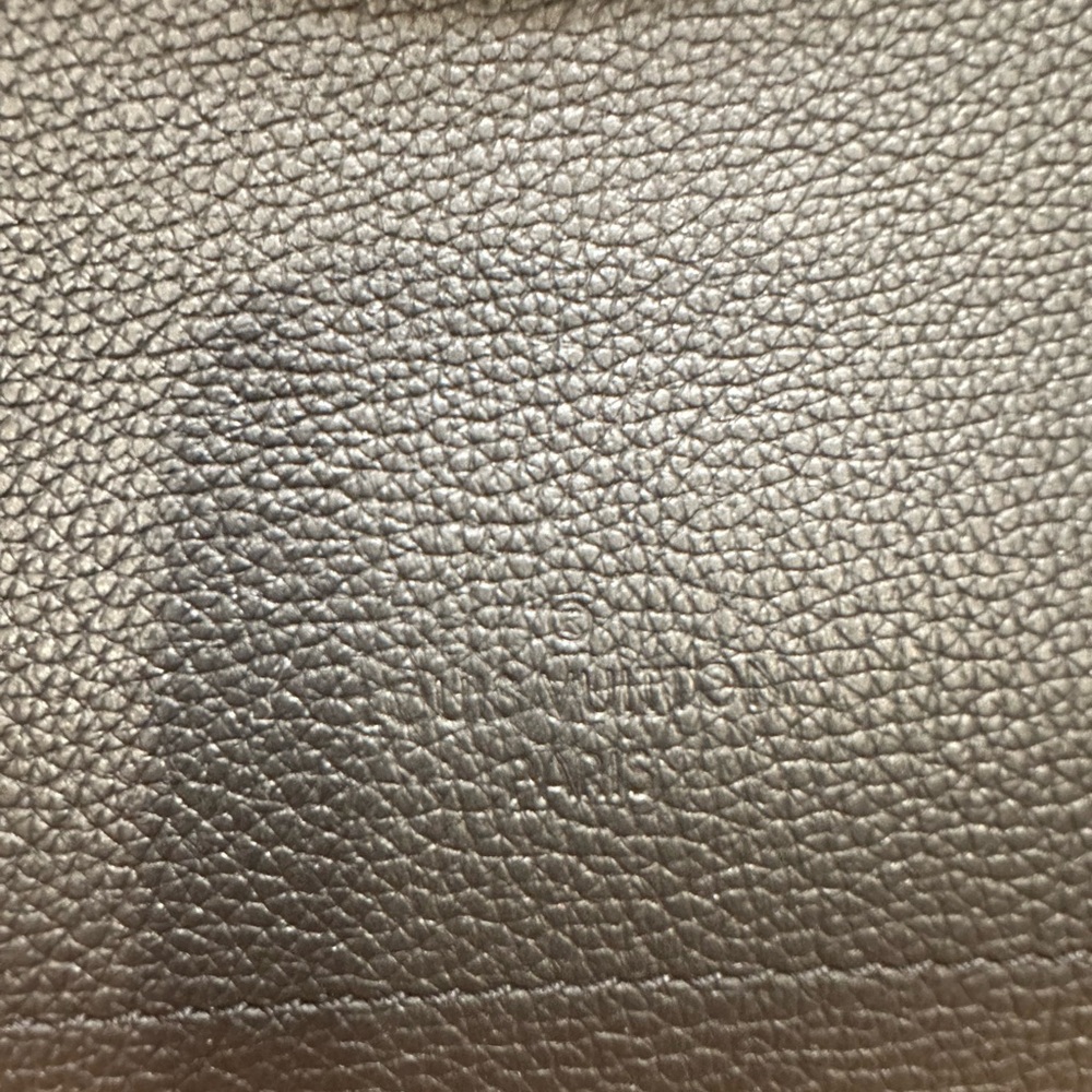 Louis Vuitton Black Tote with Silver Accents - Picture 15 of 15